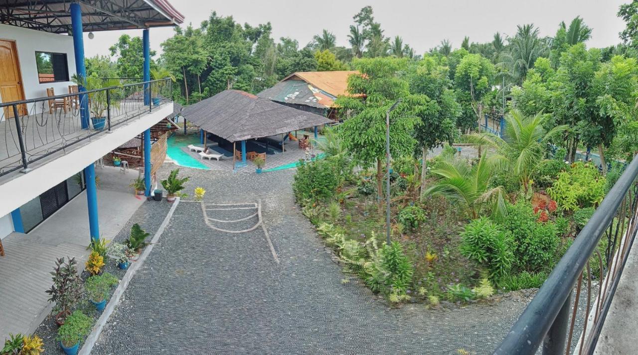 Happy Bear Moalboal Budget Rooms Exterior foto