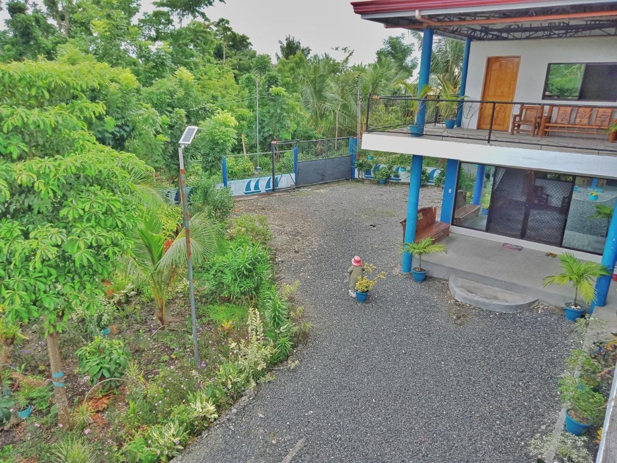 Happy Bear Moalboal Budget Rooms Exterior foto