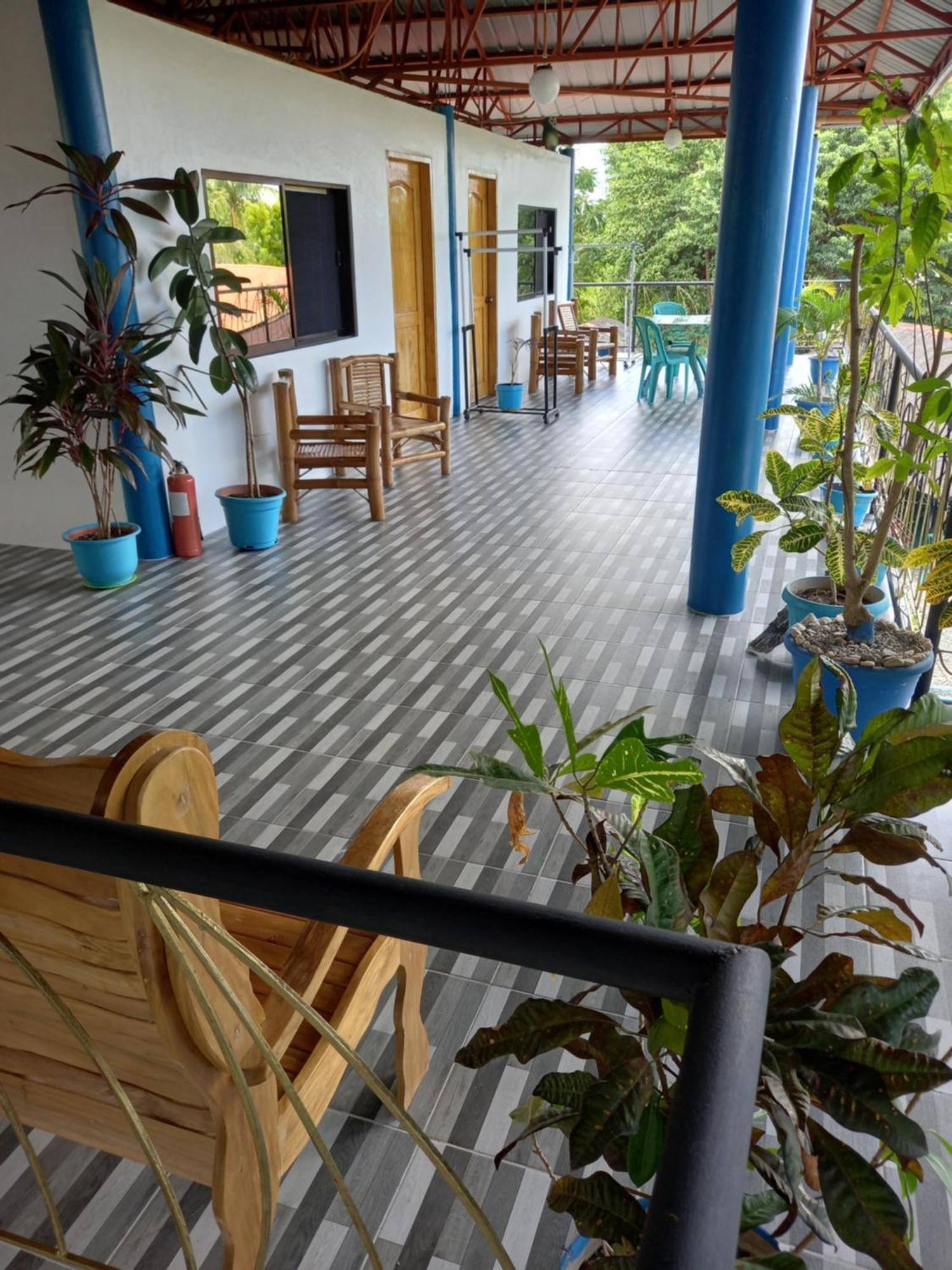 Happy Bear Moalboal Budget Rooms Exterior foto